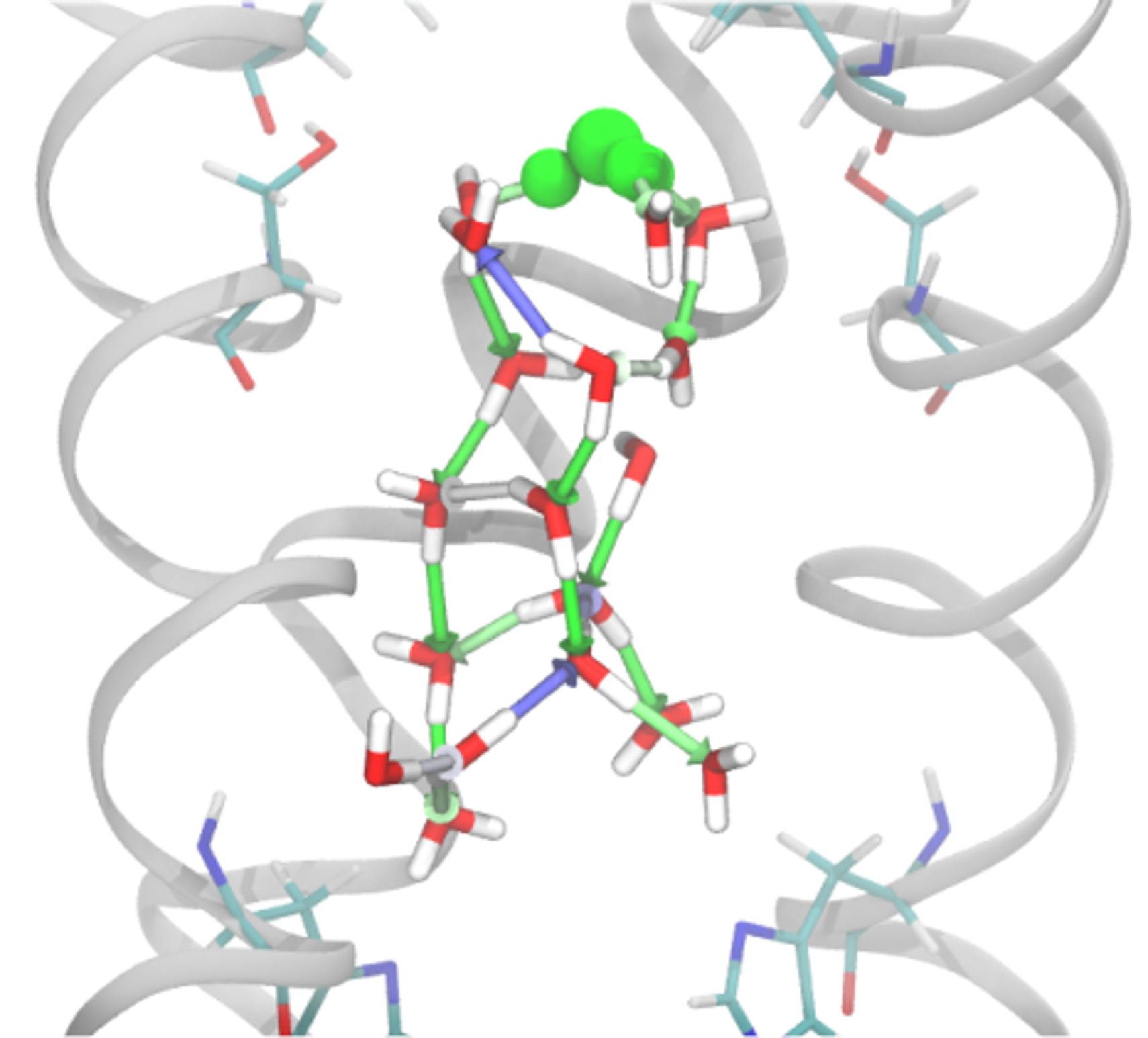 Proton transport